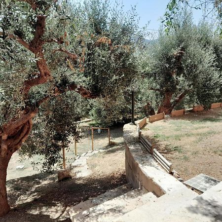 I Gufetti Villa San Savino  Exterior photo